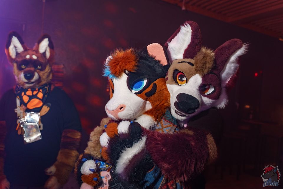 Drapii hugging a maroon and white canine fursuiter friend under red party lights