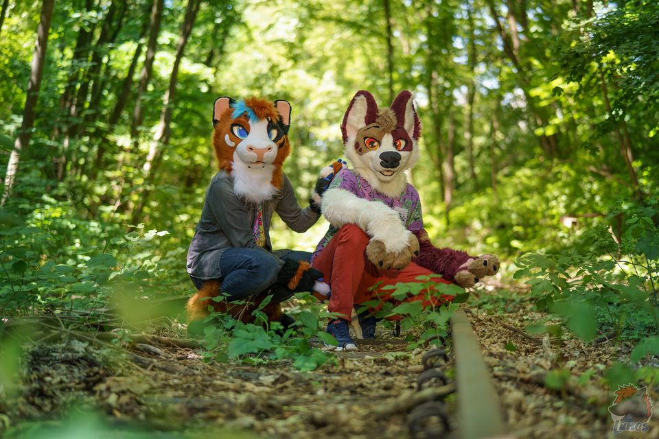 Drapii and a maroon and white canine friend crouching on overgrown railway tracks in a sunny forest